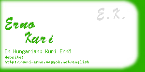 erno kuri business card